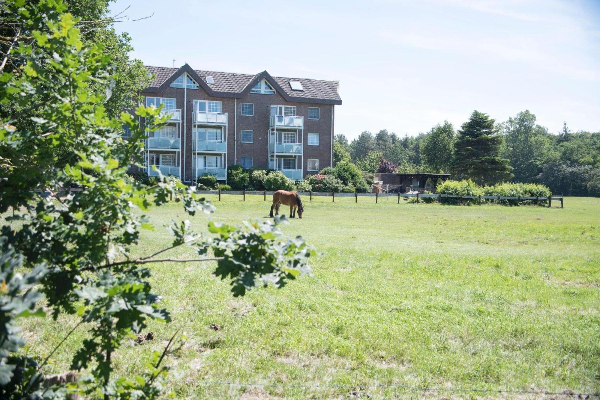'hohe Geest Whg. 6' Apartment Cuxhaven